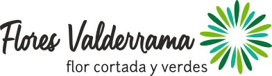 Flores Valderrama
